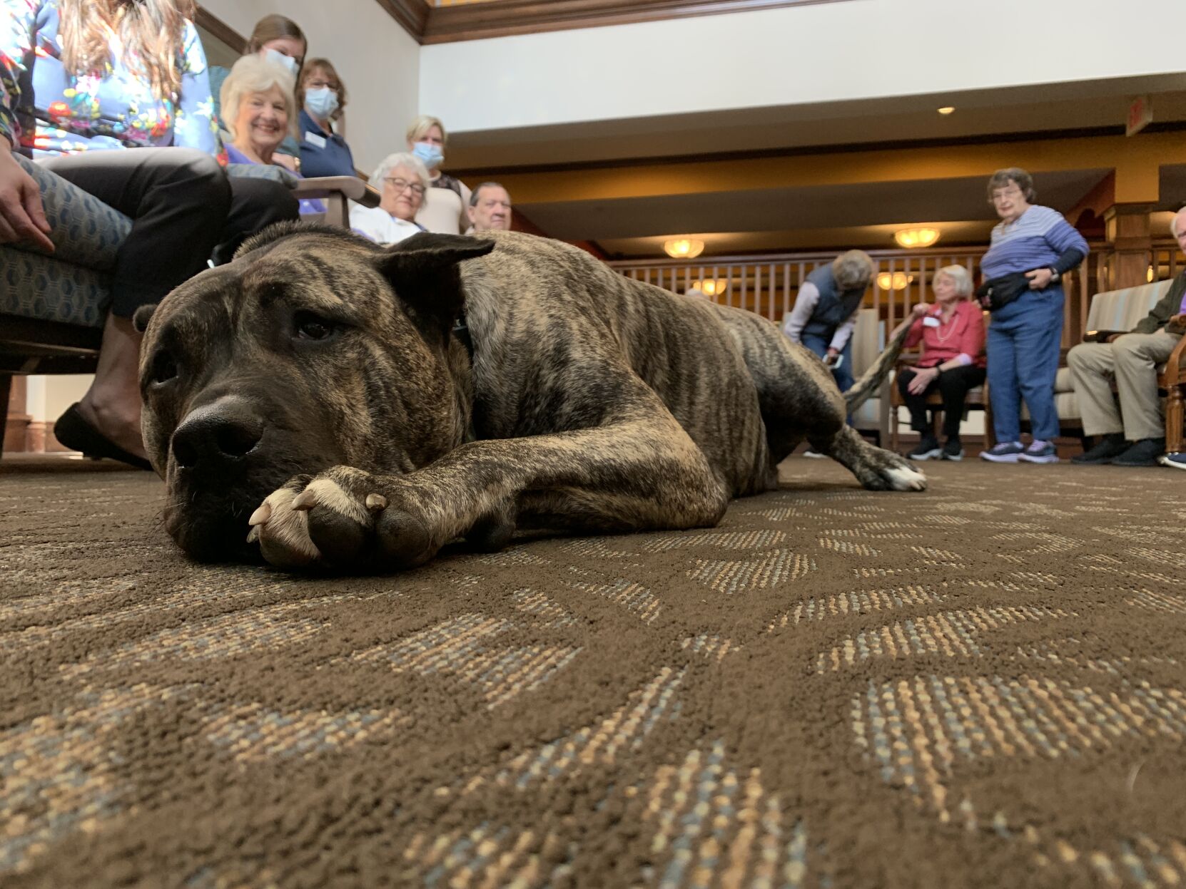 IMAGES: Ethan the dog visits residents at Louisville nursing home